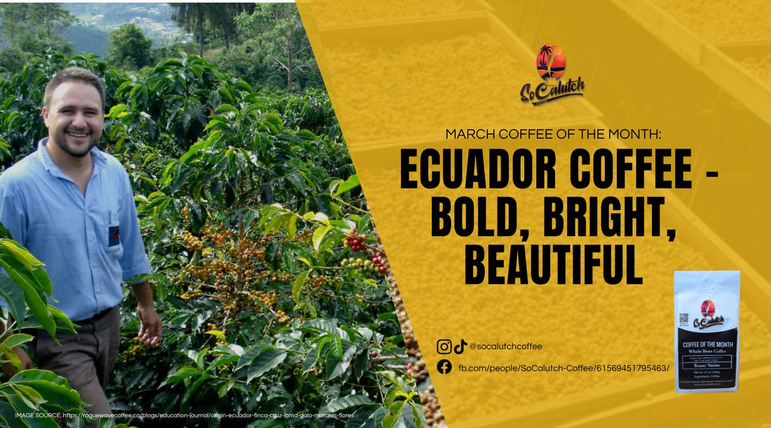 March Coffee of the Month: Ecuador – Bold, Bright, Beautiful